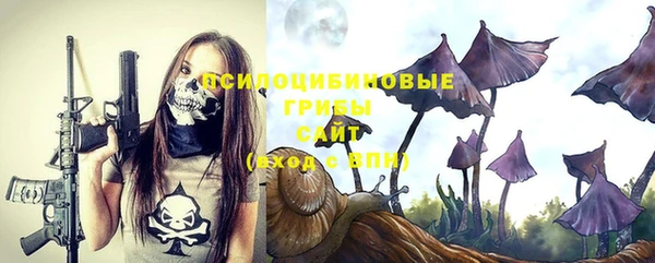 спиды Киреевск