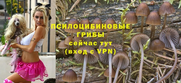 спиды Киреевск