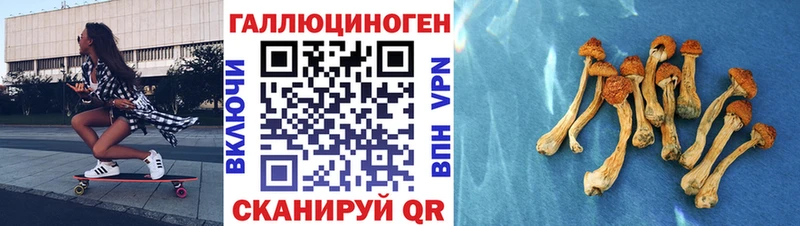 Купить где  Еманжелинск  Галлюциногенные грибы Magic Shrooms 